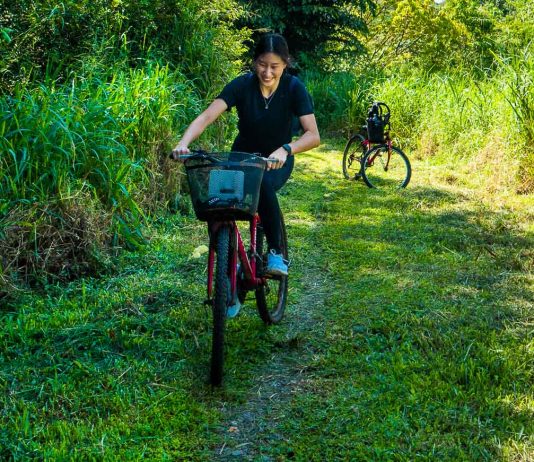 Pulau Ubin's Ketam Mountain Bike Park — Things to do in Singapore