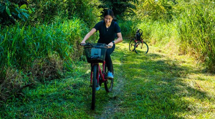 Pulau Ubin's Ketam Mountain Bike Park — Things to do in Singapore