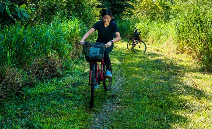 Pulau Ubin's Ketam Mountain Bike Park — Things to do in Singapore