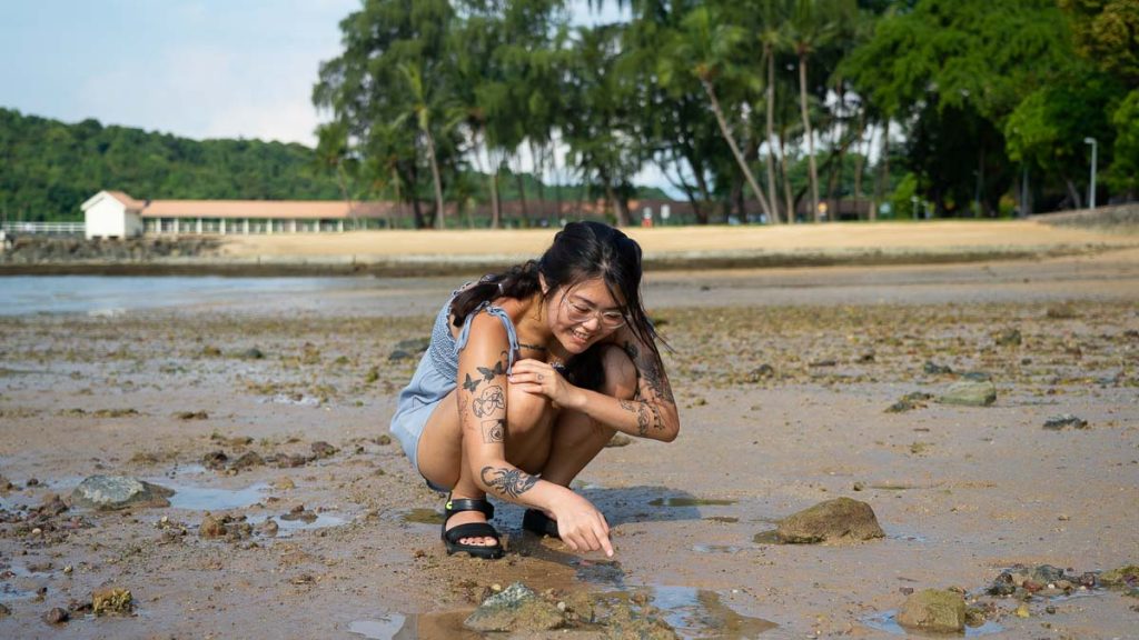 St John's Island Intertidal Walk