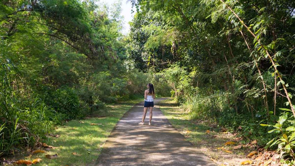 Lazarus Nature Trail