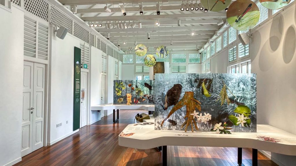 Forest Discovery Centre Exhibition – Singapore Botanic Gardens Gallop Extension