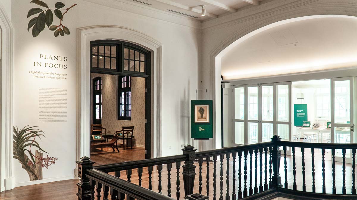 Singapore Botanic Gardens New Gallop Extension Ig Worthy Art Singapore Botanic Gardens New Gallop Extension Ig Worthy Art