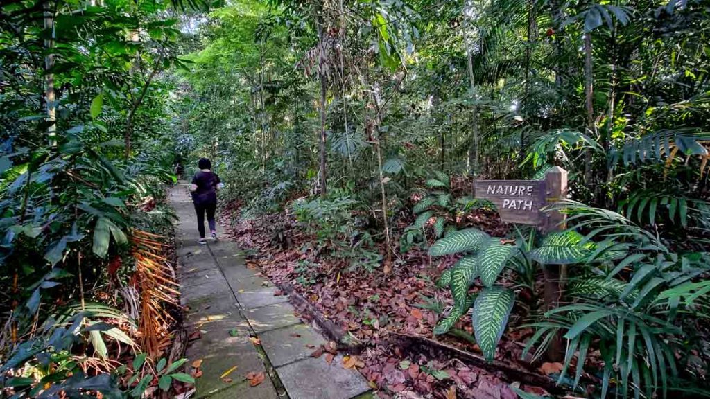 Nature walk at Labrador Park - Labrador Nature Reserve Guide