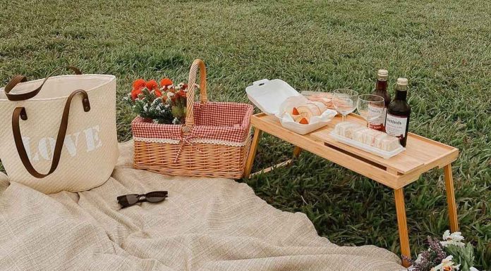 Picnic at Marina Barrage - Solo Things to do in Singapore