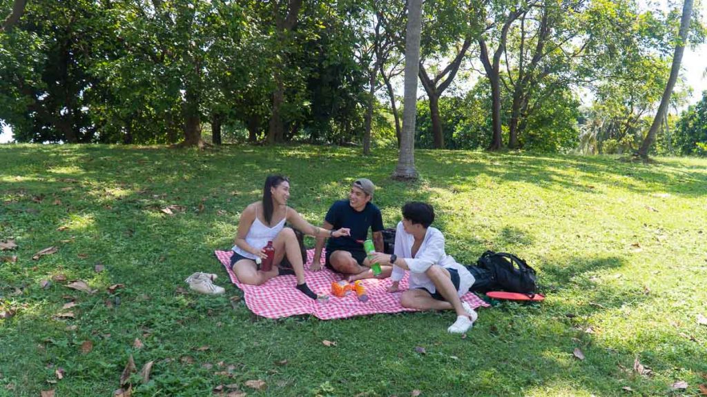 Picnic by Lazarus Island