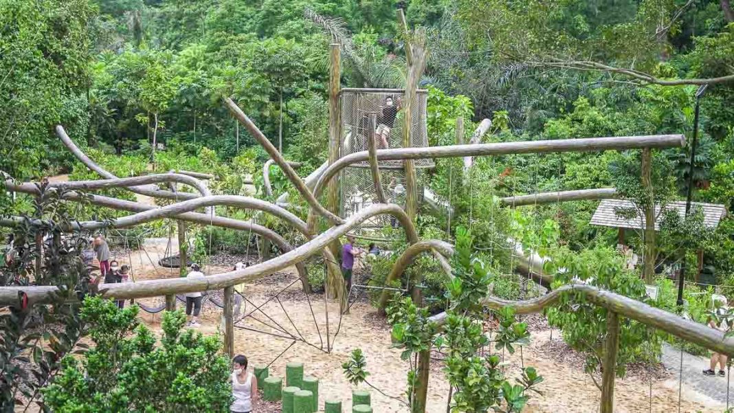 Singapore Botanic Gardens New Gallop Extension Ig Worthy Art Singapore Botanic Gardens New Gallop Extension Ig Worthy Art