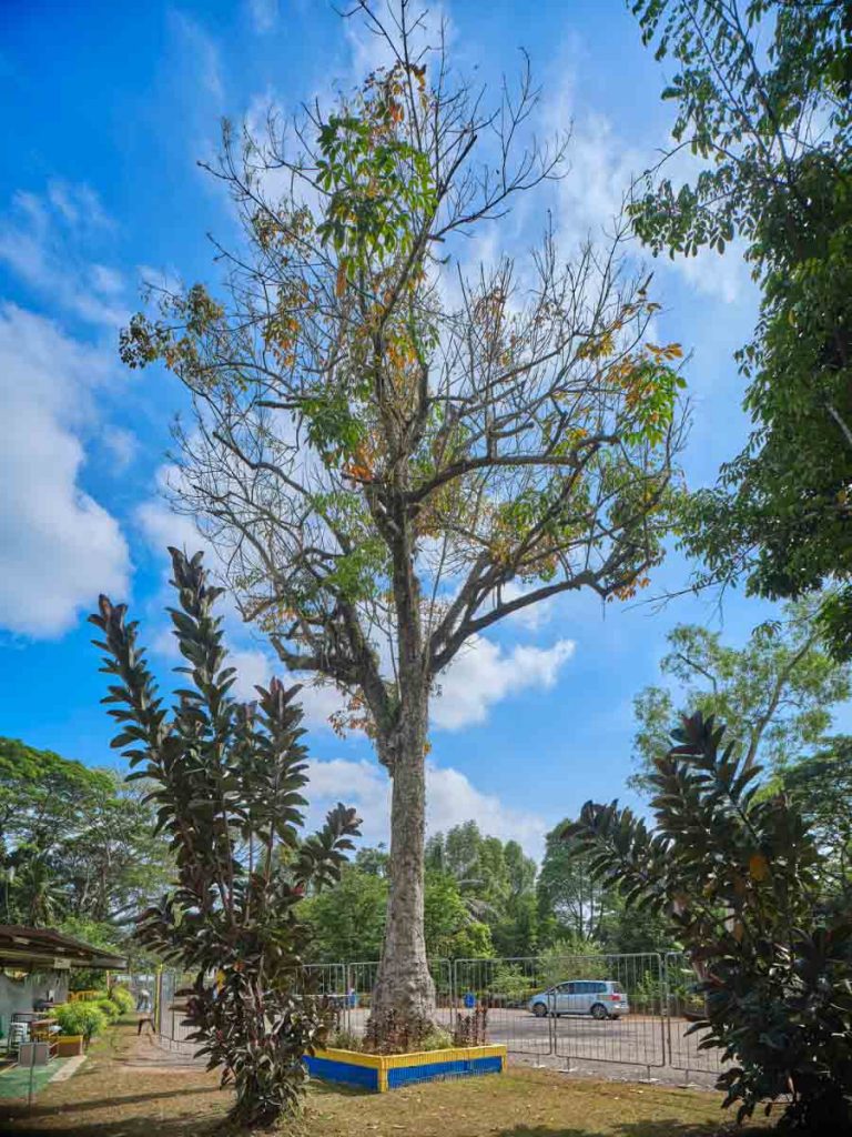 Singapore map showing sembawang area - Sembawang Heritage Trail guide