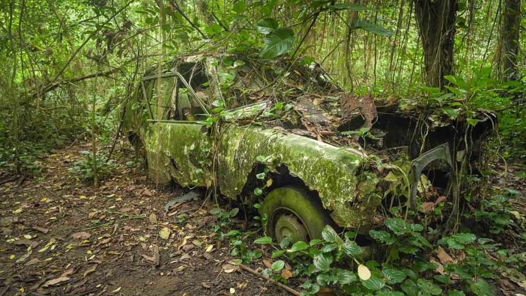Abandoned Car at Bukit Brown — Hiking in Singapore