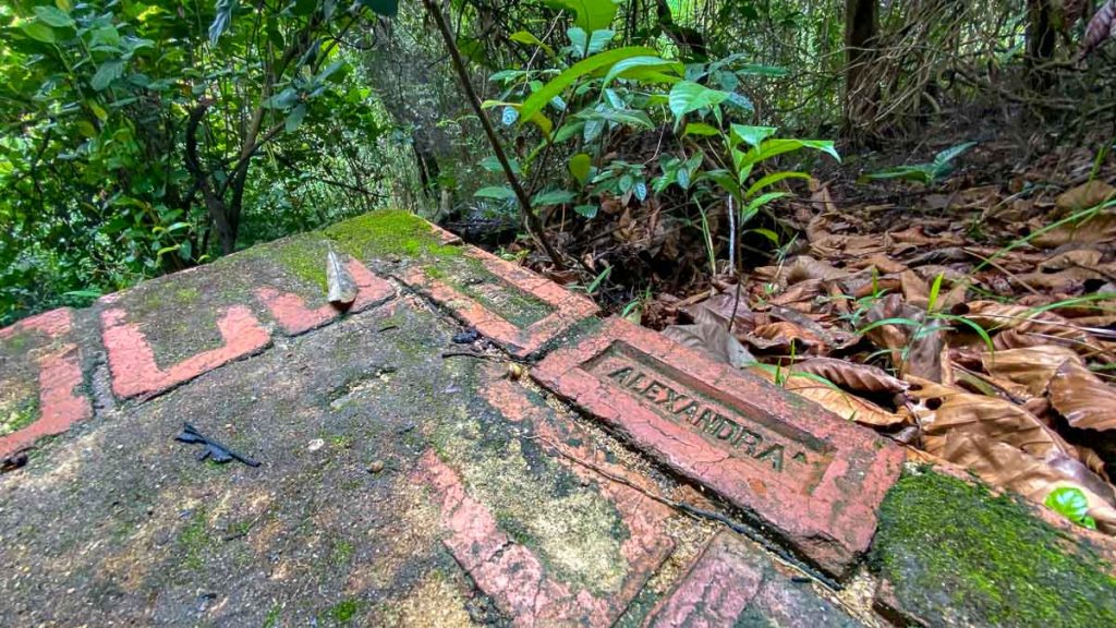 Alexandra Stamped Bricks - Hike in Singapore
