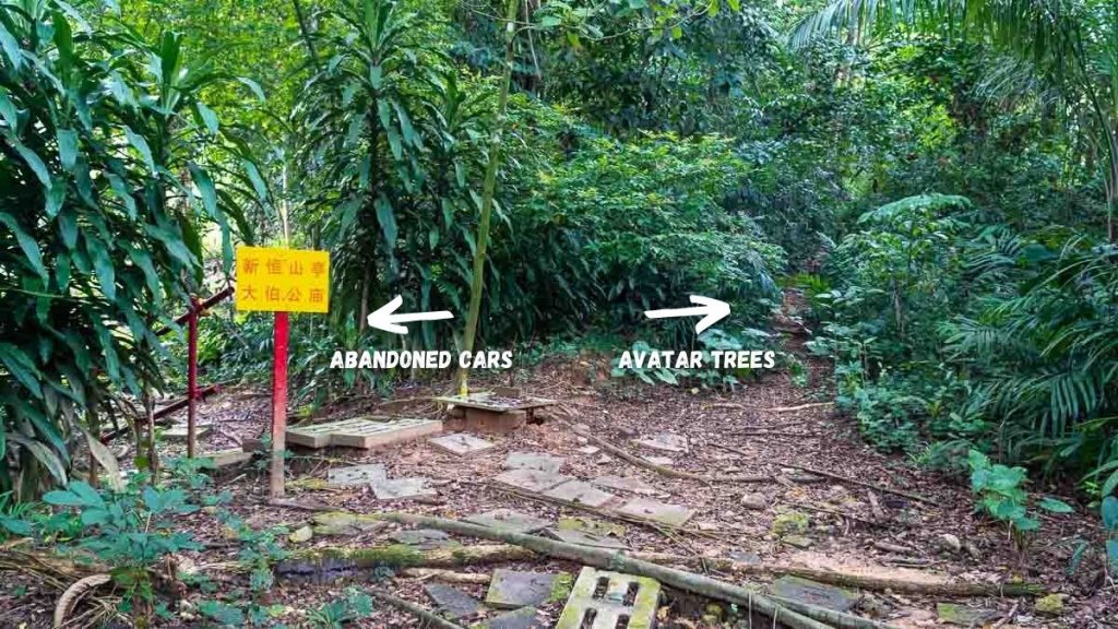 Diversion Path at Bukit Brown 