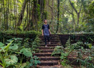 Bukit Brown Cemetery — Everything You Need to Know Before Visiting This Old Singapore Graveyard
