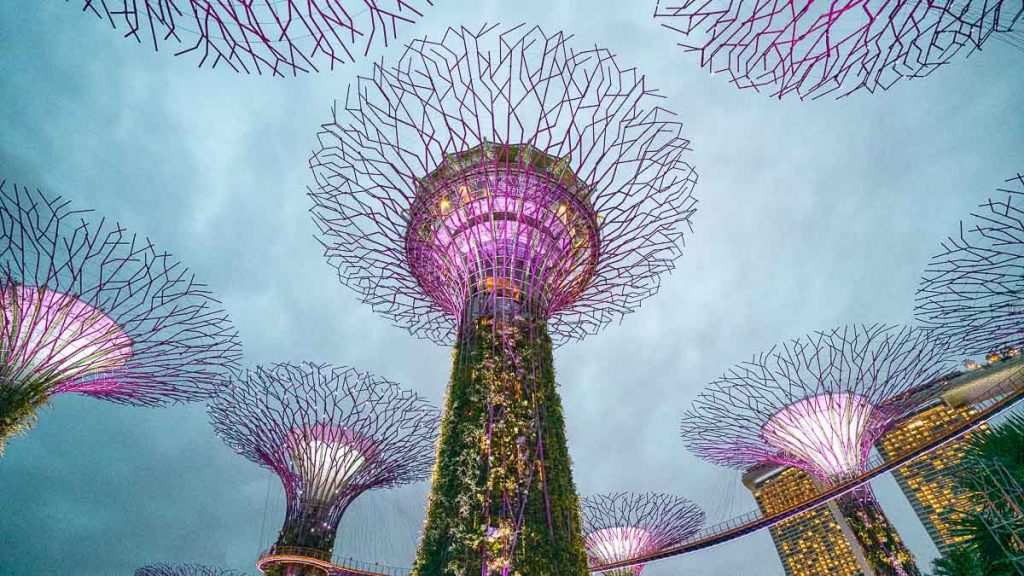 Gardens by the Bay Supertrees at night - Singapore Itinerary
