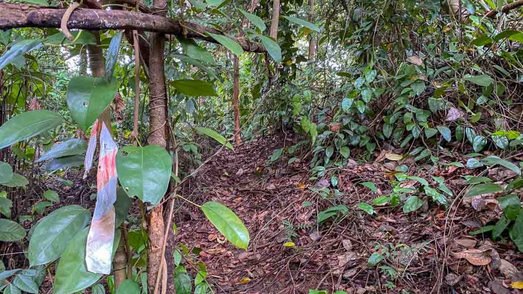 Path from the Japanese tomb to Mount Faber