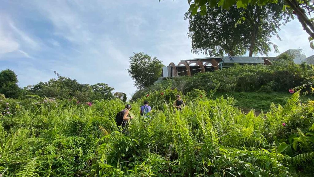 Hiking to Mount Faber