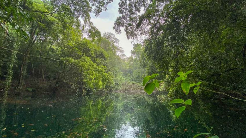 Keppel Hill Reservoir - Hike in Singapore