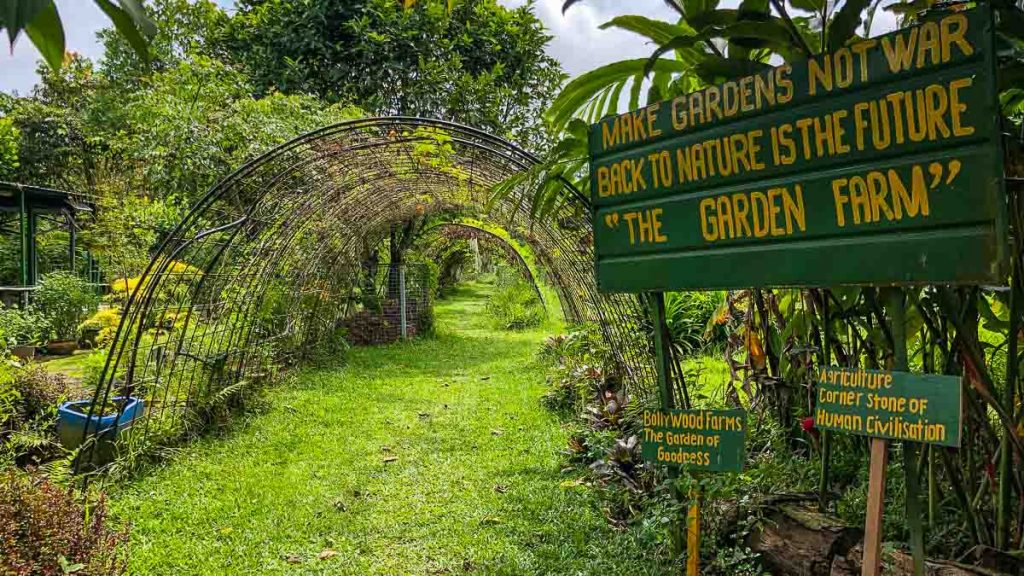 Kranji Countryside Bollywood Veggies Farm - Singapore Itinerary