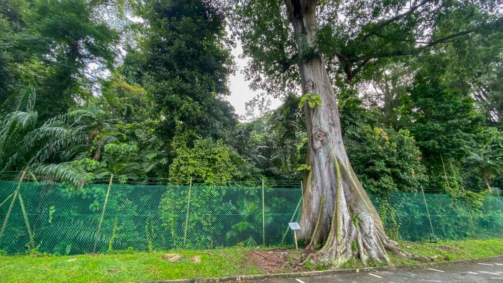 Secret Entrance to Seah Im Bunker - Hike in Singapore