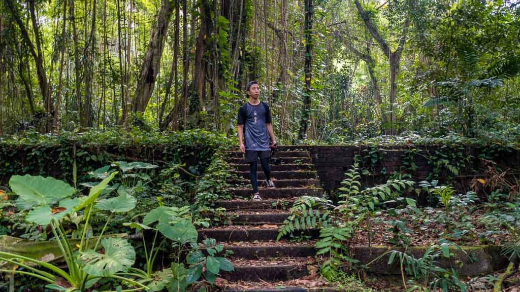 Escaliers vers les voitures abandonnées à Bukit Brown