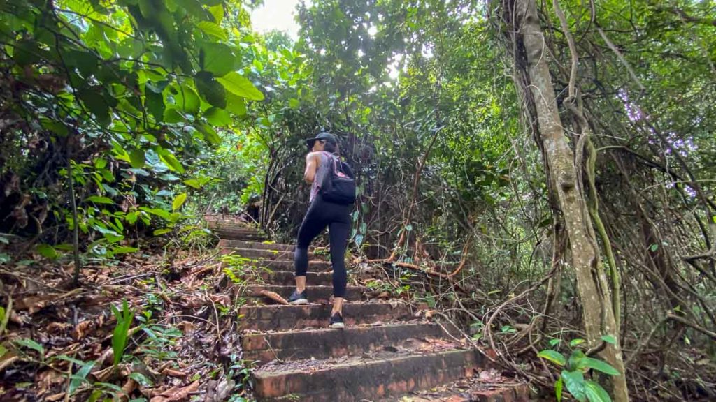 Stairs to Japanese Tomb near Keppel Hill Reservoir - Hike in Singapore