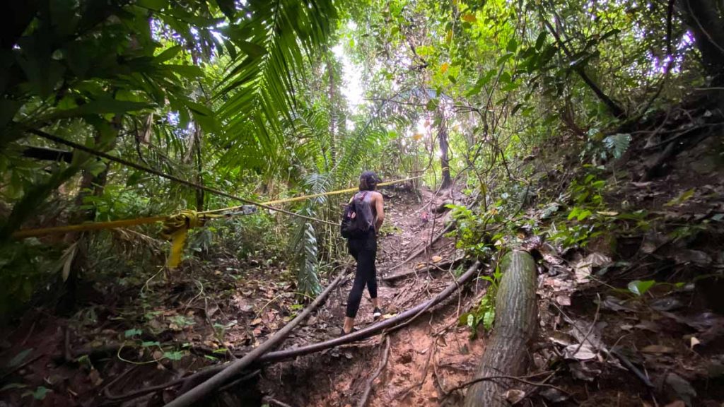 Steep Path Near Seah Im Bunker - Hike in Singapore