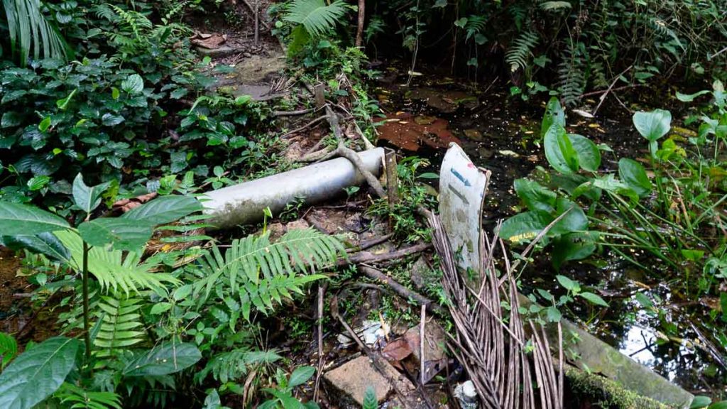 Stream to Abandoned Cars at Bukit Brown 