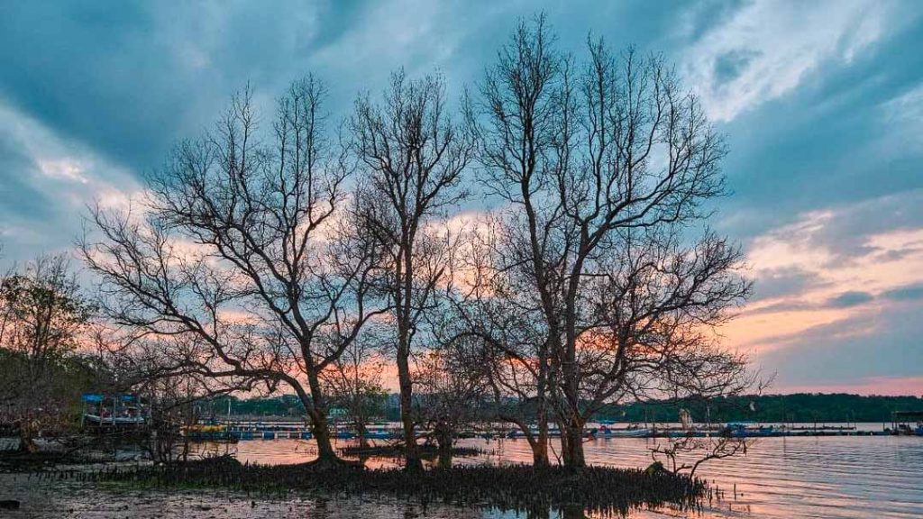 Sunset at Jenal Jetty — Yishun-Sembawang Guide