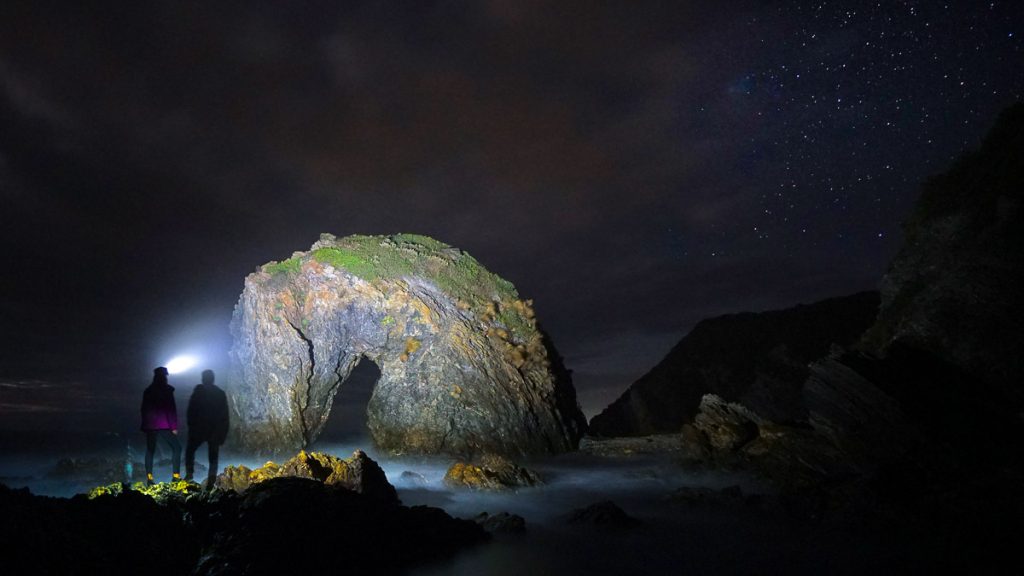 Horse head rock at high tide