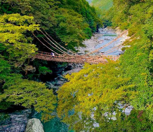 First Timer’s Guide to Shikoku — 13 Unique Things to Do in Japan Besides Sightseeing Featured Image - Guide to Shikoku