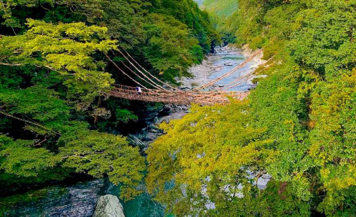 Featured Image - Guide to Shikoku