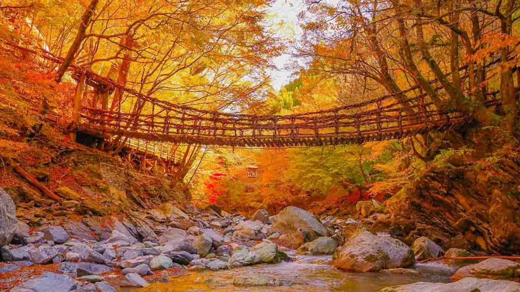 Iya Vine Bridge in the Autumn Guide to Shikoku