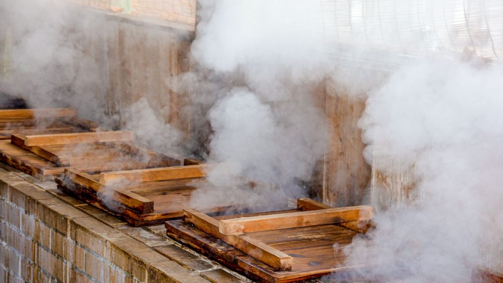 Beppu Jigoku Mushi Food Cooked by Onsen Steam