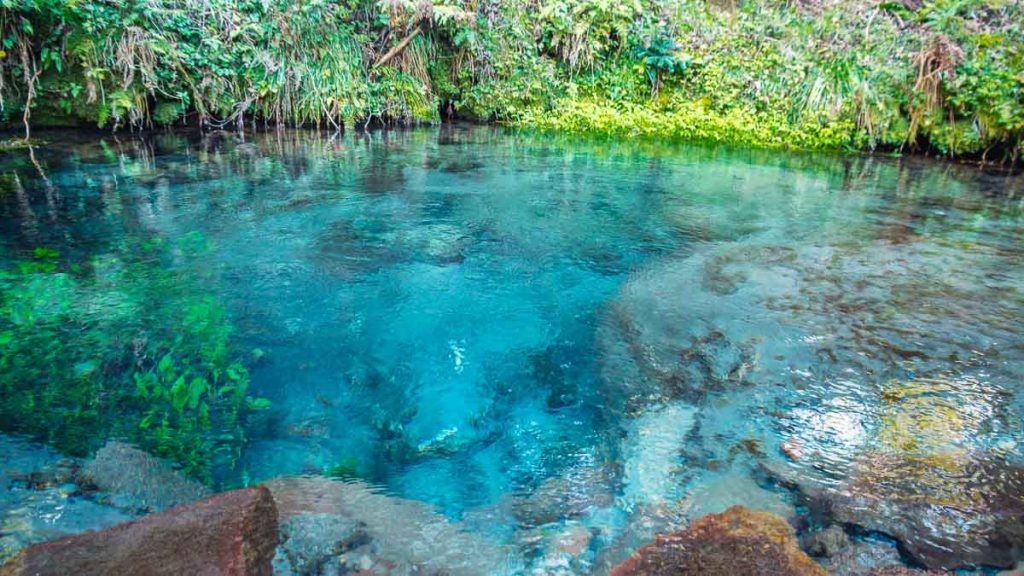 Blue Waters at Oike Spring