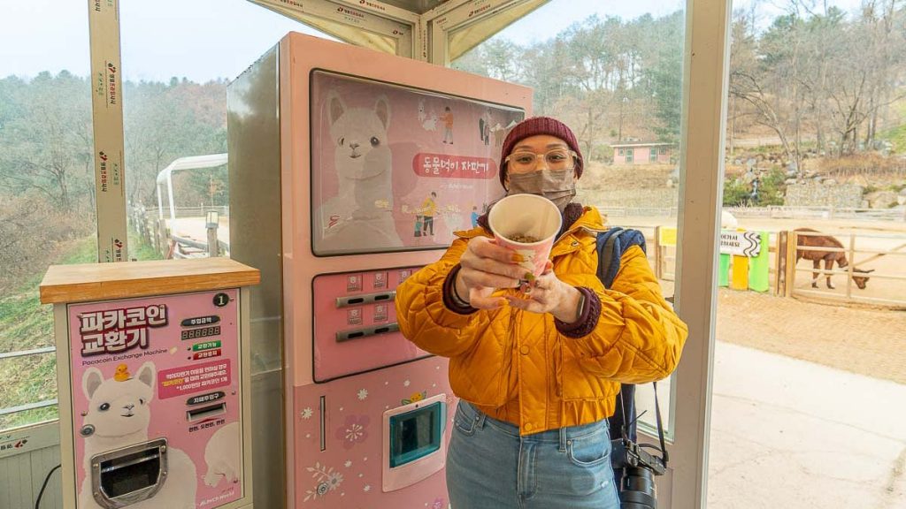 Alpaca Food from Vending Machine - Day Trips out of Seoul