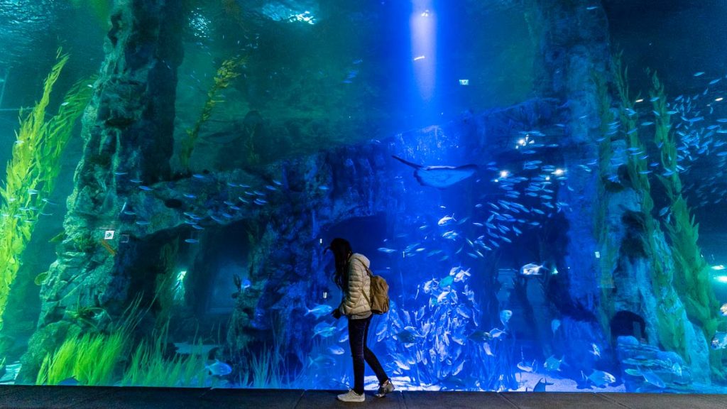 Girl at Lotte World Aquarium VTL Itinerary