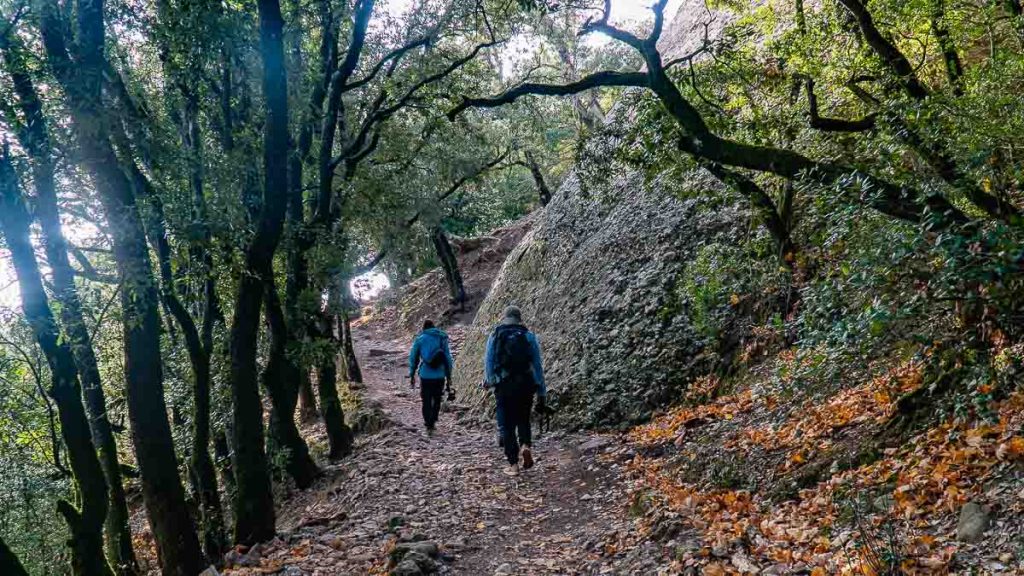 Montserrat Hike to Sant Jeroni from Sant Joan Furnicular Catalonia - Barcelona Itinerary