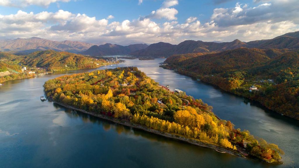 Nami Island during autumn - Nami Island Day Trip