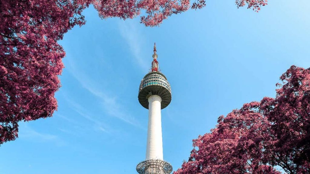 Namsan Tower View in Spring VTL Itinerary