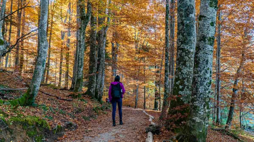 Plitvice Lakes National Park Autumn Leaves - Best Things to do in Croatia