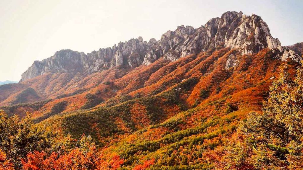 Seoraksan National Park in Autumn - Things to do in Korea