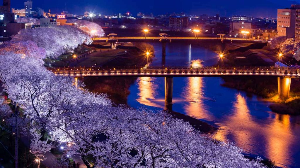 Night View of Asuwa River - Takayama-Hokuriku Area Tourist Pass