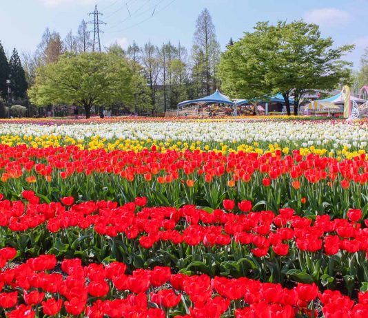 13 Unforgettable Things to do in Central Japan with the Takayama-Hokuriku Area JR Tourist Pass Featured - Takayama-Hokuriku Area Tourist Pass