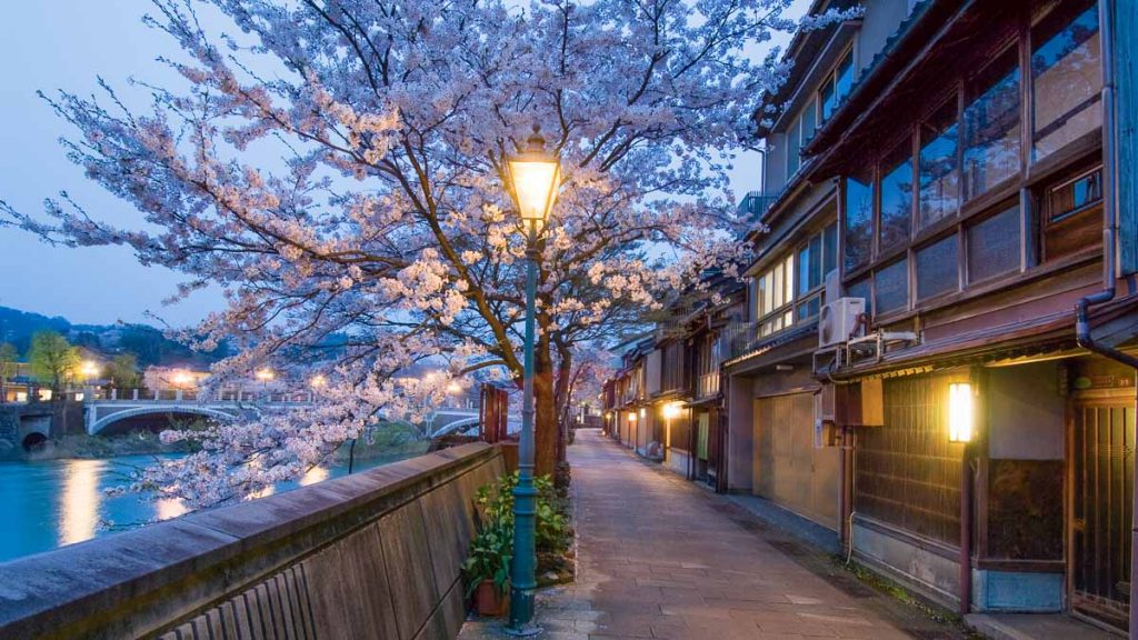 Cherry Blossoms Along Kazue-machi Chaya District - Central Japan