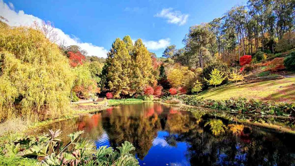 Mount Lofty Botanic Garden, Crafers, Adelaide, South Australia - Australia VTL opening 2022