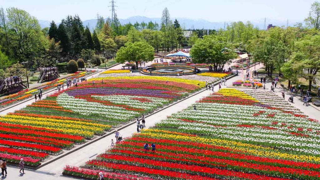 Overview of Tulip Park - Central Japan