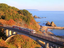 Featured Image - Sanriku Railway Iwate Guide