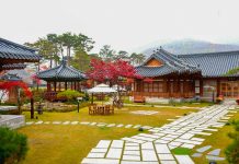 Featured Image Gangwon Travel Guide