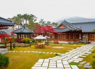 Featured Image Gangwon Travel Guide