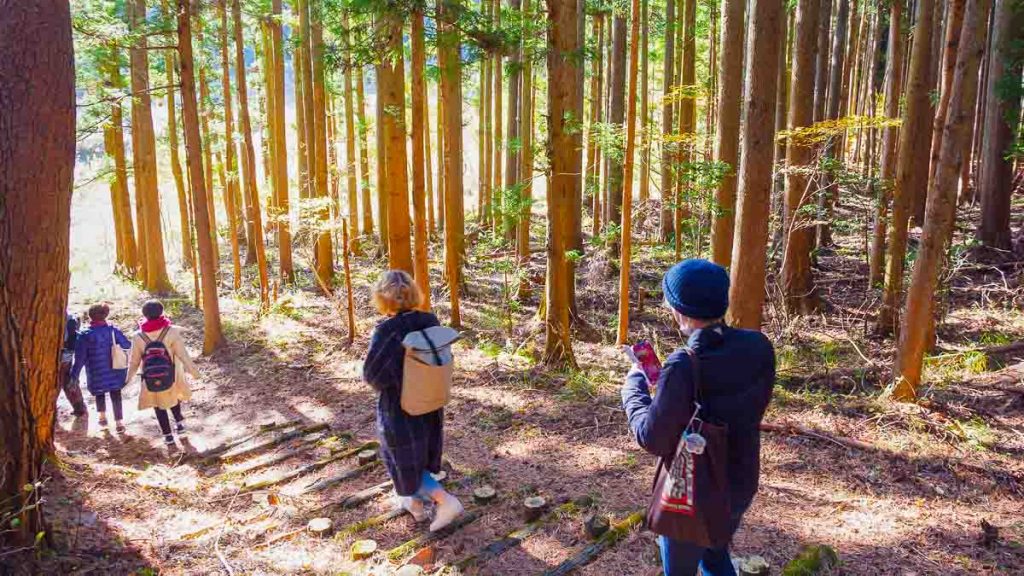 People Hiking in the Forest of Michinoku Coastal Trail - Tohoku Region