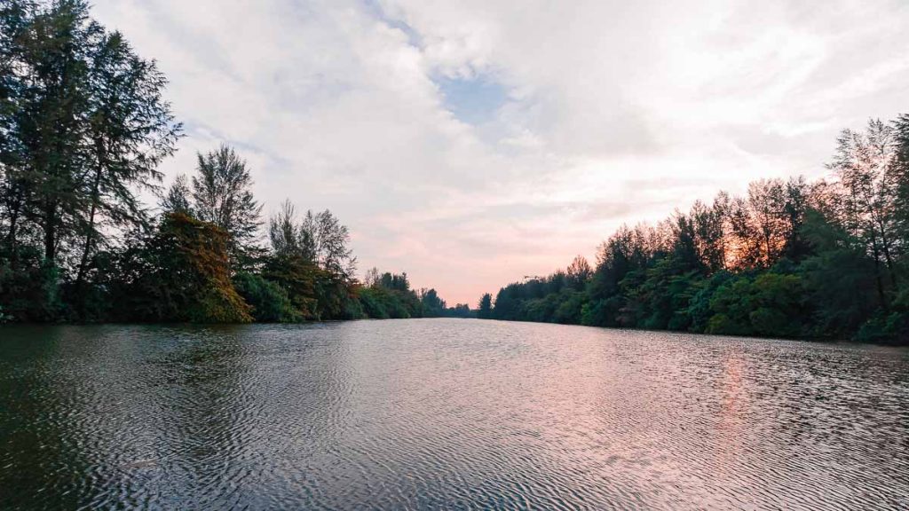 Picturesque lake with foresty banks - Night Cycling Singapore